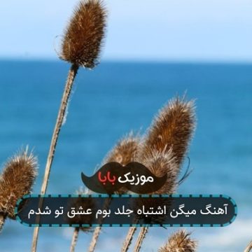 آهنگ میگن اشتباه جلد بوم عشق تو شدم