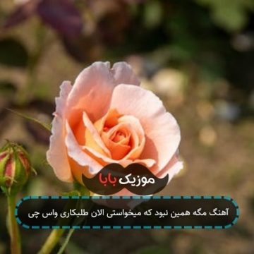 آهنگ مگه همین نبود که میخواستی الان طلبکاری واس چی آهنگ مگه همین نبود که میخواستی الان طلبکاری واس چی