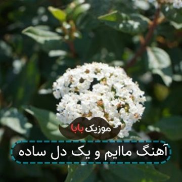 آهنگ ماایم و یک دل ساده