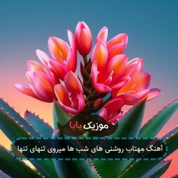 آهنگ مهتاب روشنی های شب ها میروی تنهای تنها