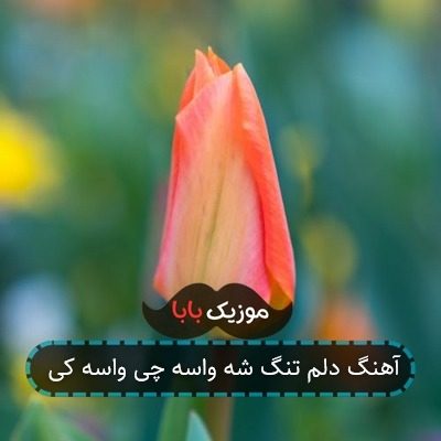 آهنگ دلم تنگ شه واسه چی واسه کی