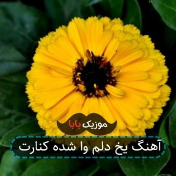 آهنگ یخ دلم وا شده کنارت