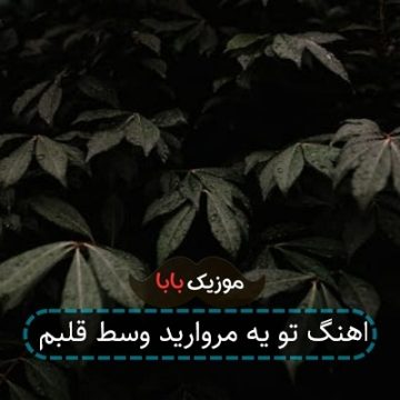 اهنگ تو یه مروارید وسط قلبم