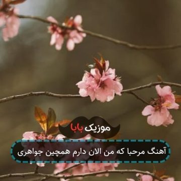 آهنگ مرحبا که من الان دارم همچین جواهری