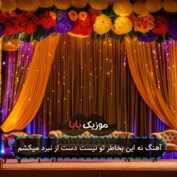 آهنگ نه این بخاطر تو نیست دست از نبرد میکشم