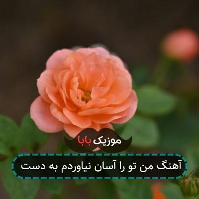 آهنگ من تو را آسان نیاوردم به دست آهنگ من تو را آسان نیاوردم به دست