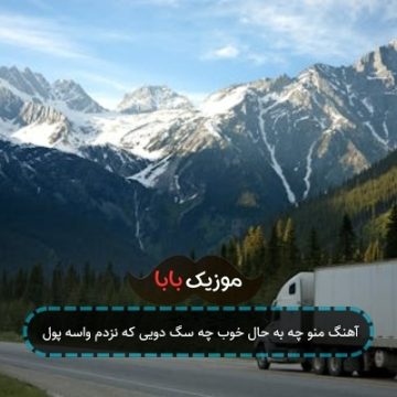 آهنگ منو چه به حال خوب چه سگ دویی که نزدم واسه پول