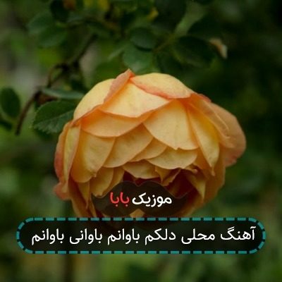 آهنگ محلی دلکم باوانم باوانی باوانم آهنگ محلی دلکم باوانم باوانی باوانم