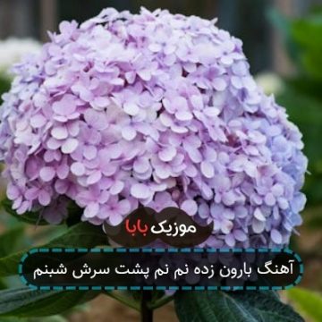 آهنگ بارون زده نم نم پشت سرش شبنم