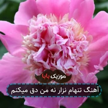 آهنگ تنهام نزار نه من دق میکنم آهنگ تنهام نزار نه من دق میکنم