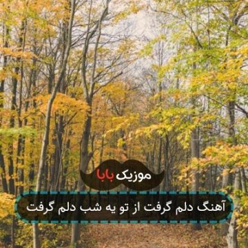 آهنگ دلم گرفت از تو یه شب دلم گرفت