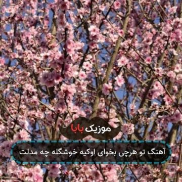 آهنگ تو هرچی بخوای اوکیه خوشگله چه مدلت