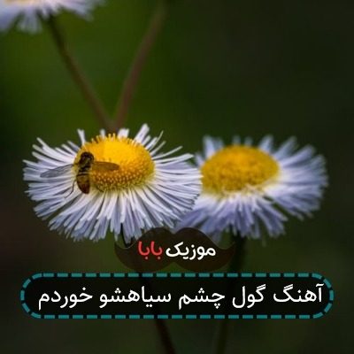 آهنگ گول چشم سیاهشو خوردم