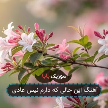 آهنگ این حالی که دارم نیس عادی