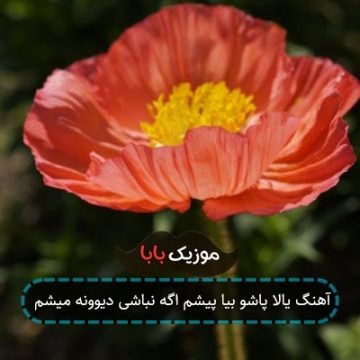 آهنگ یالا پاشو بیا پیشم اگه نباشی دیوونه میشم آهنگ یالا پاشو بیا پیشم اگه نباشی دیوونه میشم