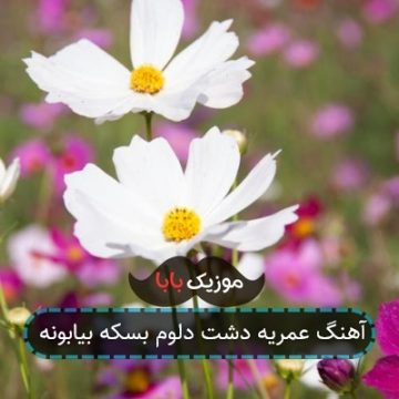 آهنگ عمریه دشت دلوم بسکه بیابونه