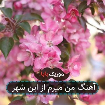 آهنگ من میرم از این شهر