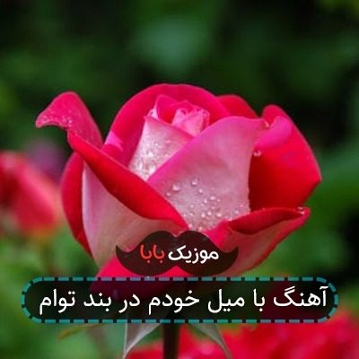 آهنگ با میل خودم در بند توام
