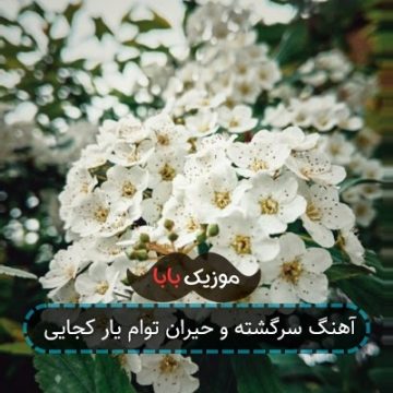 آهنگ سرگشته و حیران توام یار کجایی آهنگ سرگشته و حیران توام یار کجایی