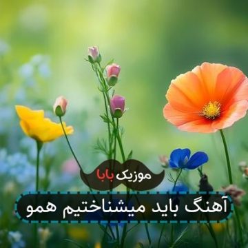 آهنگ باید میشناختیم همو