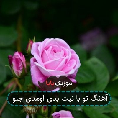 آهنگ تو با نیت بدی اومدی جلو آهنگ تو با نیت بدی اومدی جلو