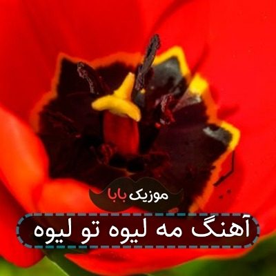 آهنگ مه لیوه تو لیوه