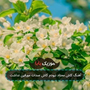 آهنگ کاش معتاد نبودم کاش صدات مورفین نداشت آهنگ کاش معتاد نبودم کاش صدات مورفین نداشت
