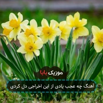 آهنگ چه عجب یادی از این اخراجی دل کردی