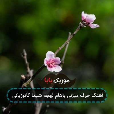 آهنگ حرف میزنی باهام لهجه شیما کاتوزیانی آهنگ حرف میزنی باهام لهجه شیما کاتوزیانی