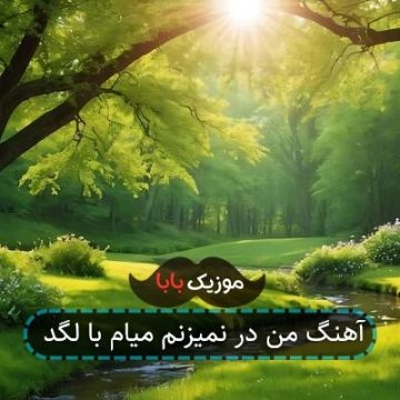 آهنگ من در نمیزنم میام با لگد