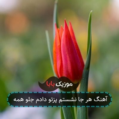 آهنگ هر جا نشستم پزتو دادم جلو همه