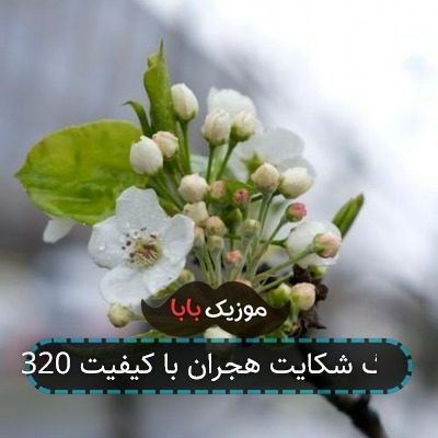 آهنگ شکایت هجران با کیفیت 320