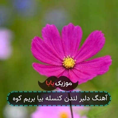 آهنگ دلبر لندن کنسله بیا بریم کوه