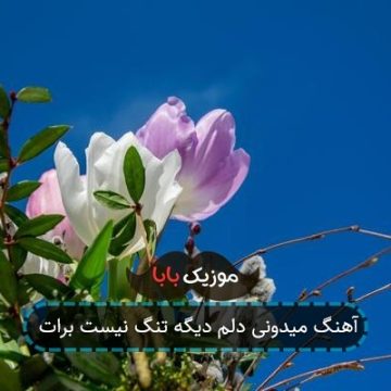 آهنگ میدونی دلم دیگه تنگ نیست برات آهنگ میدونی دلم دیگه تنگ نیست برات