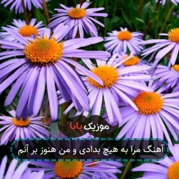 آهنگ مرا به هیچ بدادی و من هنوز بر آنم