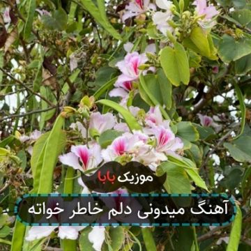 آهنگ میدونی دلم خاطر خواته آهنگ میدونی دلم خاطر خواته