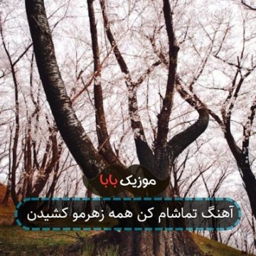 آهنگ تماشام کن همه زهرمو کشیدن