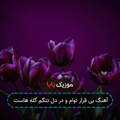 آهنگ بی قرار توام و در دل تنگم گله هاست