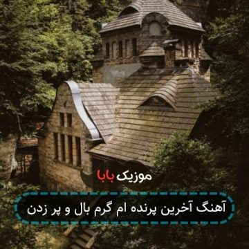 آهنگ آخرین پرنده ام گرم بال و پر زدن