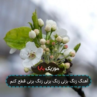 آهنگ زنگ بزنی زنگ بزنی زنگ بزنی قطع کنم آهنگ زنگ بزنی زنگ بزنی زنگ بزنی قطع کنم