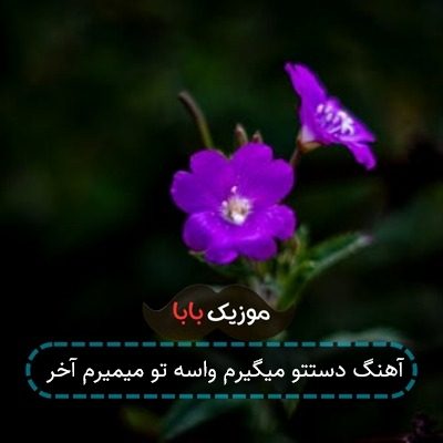 آهنگ دستتو میگیرم واسه تو میمیرم آخر