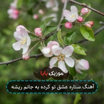 آهنگ ستاره عشق تو کرده به جانم ریشه