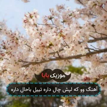 آهنگ وو که لپش چال داره تییل باحال داره آهنگ وو که لپش چال داره تییل باحال داره
