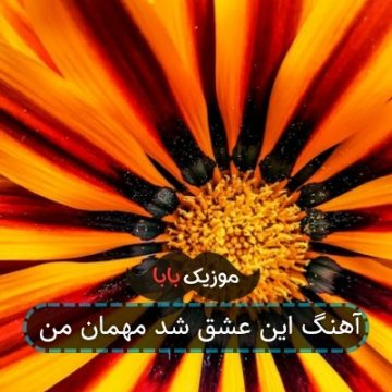 آهنگ این عشق شد مهمان من