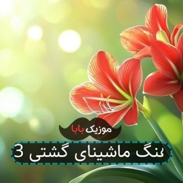 آهنگ ماشینای گشتی 3