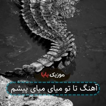 آهنگ تا تو میای میای پیشم آهنگ تا تو میای میای پیشم