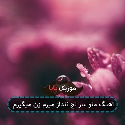 آهنگ منو سر لج ننداز میرم زن میگیرم