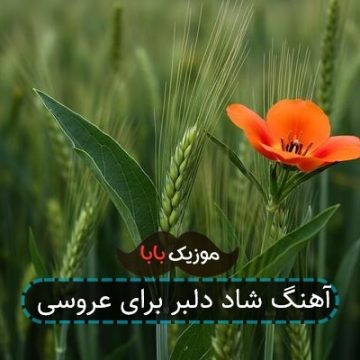 آهنگ شاد دلبر برای عروسی