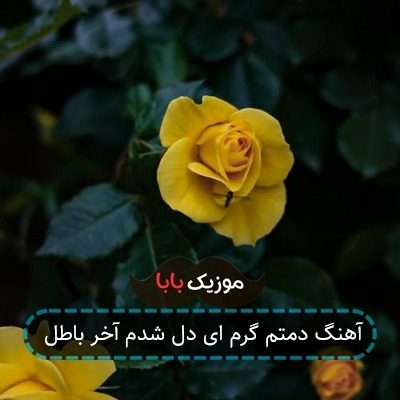 آهنگ دمتم گرم ای دل شدم آخر باطل آهنگ دمتم گرم ای دل شدم آخر باطل