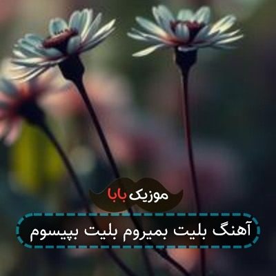 آهنگ بلیت بمیروم بلیت بپیسوم